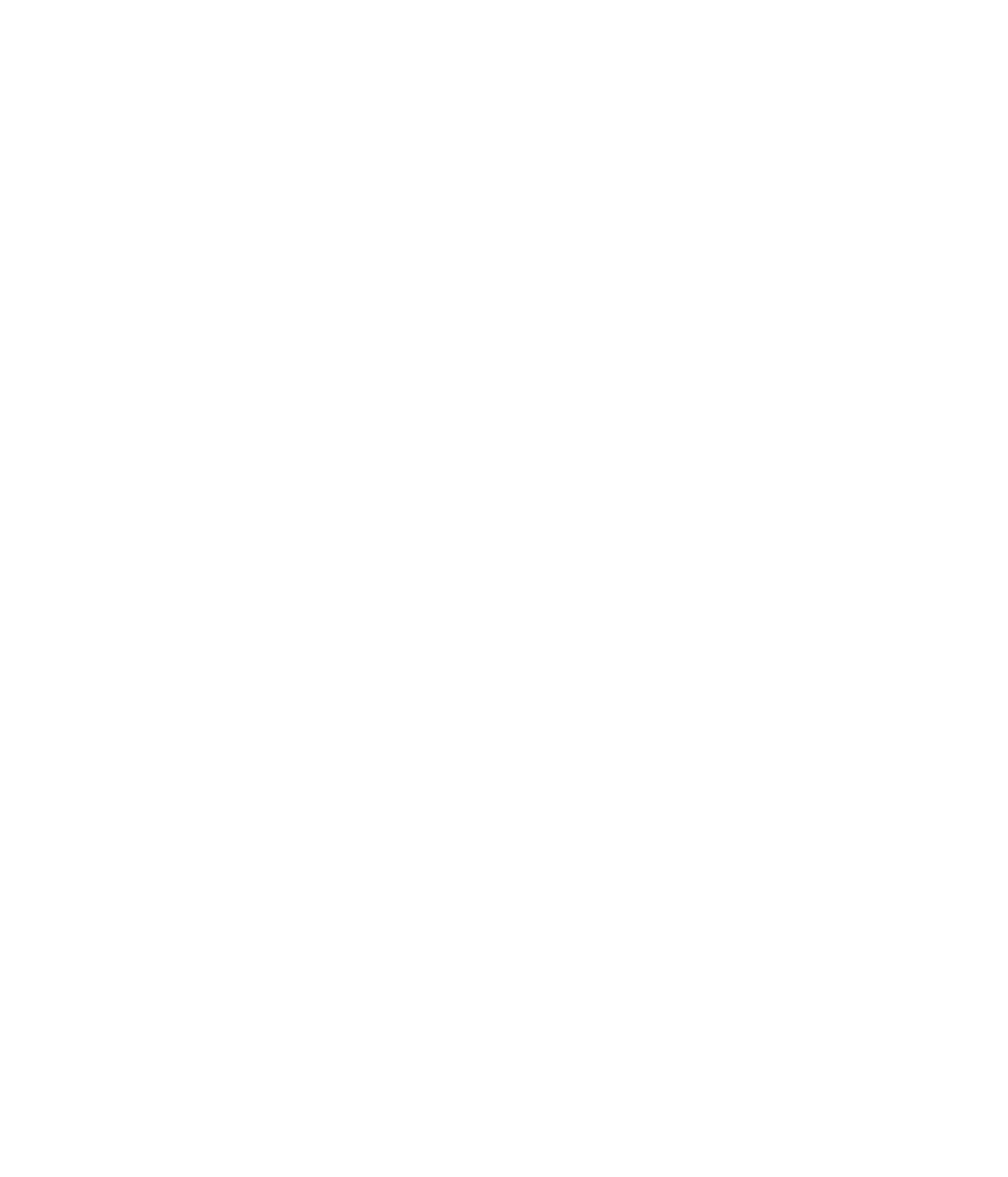 css3